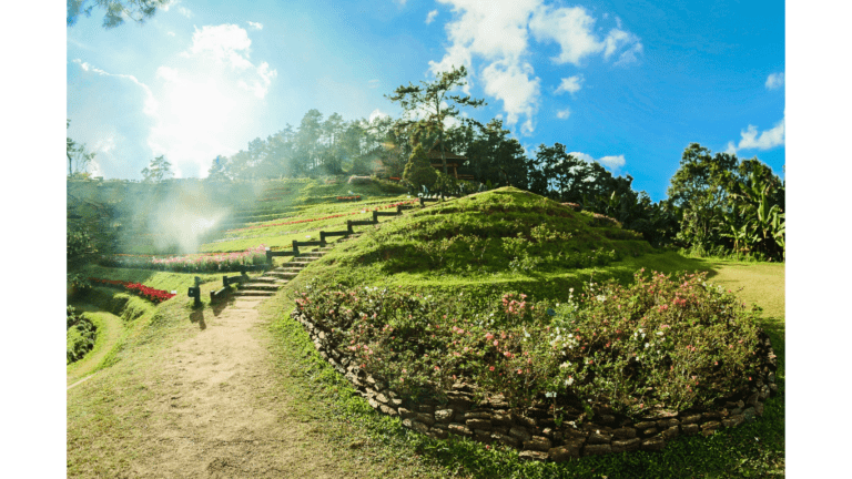 Seychelles|Untouched Nature||Untouched Nature||Vallée de Mai|spring forest