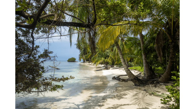 view from island|beachfront resort