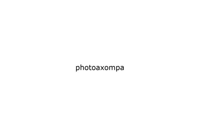 photoaxompa