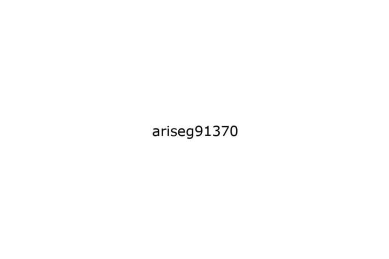 ariseg91370