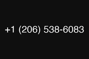 +1 (206) 538-6083