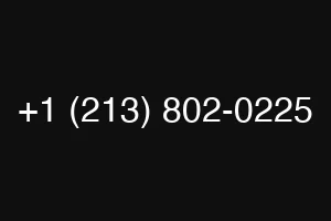+1 (213) 802-0225