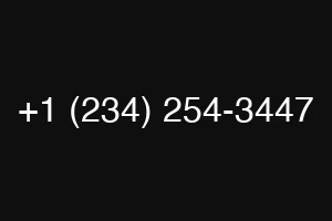 +1 (234) 254-3447