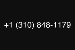 +1 (310) 848-1179