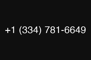 +1 (334) 781-6649