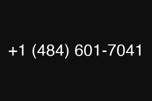 +1 (484) 601-7041
