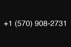 +1 (570) 908-2731