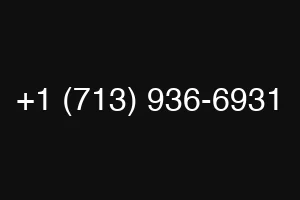 +1 (713) 936-6931