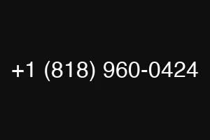+1 (818) 960-0424