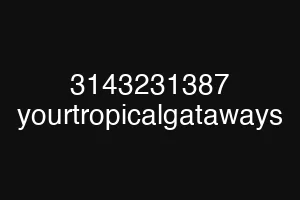 3143231387 yourtropicalgataways